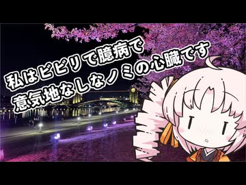 ついなちゃんと富山に行った時の話②【XSR700】