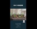 【園芸初心者】今日からネギと共存していくぞ！