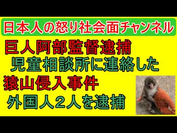 【巨人阿部監督逮捕が妙なことだらけ】チャットGPTに相談した【猿のパンチ君】アメリカ人が猿山に侵入し逮捕