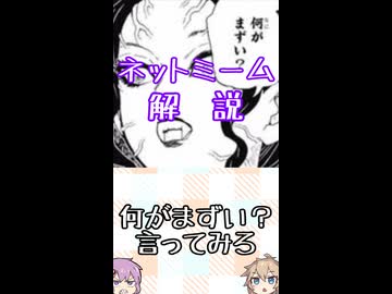 ゆかつむネットミーム解説【何がまずい？言ってみろ】