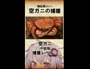 空ガニを捕獲せよ！