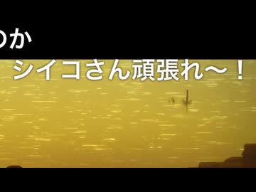 mixしたい.mov