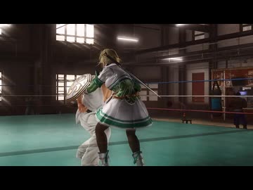 【DOA5】カサンドラ 【リョナ】