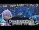 【沼津港深海水族館】シーラカンスに会いた～い！【ぬいぐるみ旅行祭】
