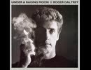 Roger Daltrey - After The Fire