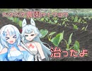 2026年5月26日　日記1737　はいしゃさんにいったら歯が治ったよ