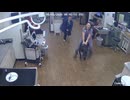 ホモと見る注射が嫌で逃げだす犬