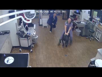 ホモと見る注射が嫌で逃げだす犬