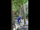 ニコミステスト用動画