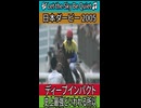 史上最強といわれる所以 【日本ダービー 2005】 ディープインパクト #日本ダービー  #ディープインパクト #武豊
