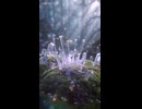 【 Aiショート 】キノコ×水晶