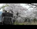 春のPV合作　「ハルトレイン/さとみ、莉犬」