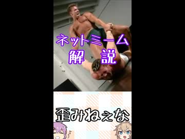 ゆかつむネットミーム解説【歪みねぇな】