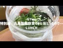 「×」のキャンペーンでまた500円引きが当たったので、丸亀製麺で「明太とろろシェイクうどん」をいただきました！