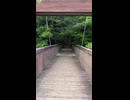 泉の森「緑のかけ橋」 2026年05月19日15時23分