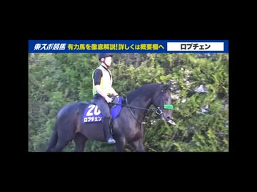 【日本ダービー】出走予定馬のフォトパドック
