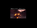 野良のアニキがアークと友達だったｗ【アークレイダース】