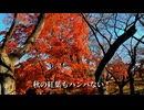 まだ見つかってない？！ 秋の長野の映えスポット【長野県高遠城址公園】