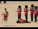 ホモと見る暑さで限界を迎えた近衛兵