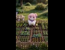 ケツデカピングー