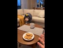 ケツデカピングー