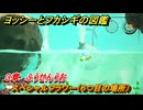 ヨッシーとフカシギの図鑑　３章　ふうせんうお　スペシャルフラワー（６つ目の場所）　＃１１６　【Switch2】