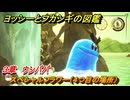 ヨッシーとフカシギの図鑑　３章　ウンババ　スペシャルフラワー（４つ目の場所）　＃１２３　【Switch2】
