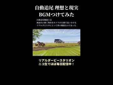 「自動追尾　理想と現実」BGMつけてみた【リアダビ切り抜き】