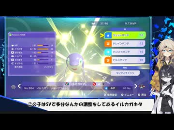 [ポケモンチャンピオンズ]ヒロアカパーティーで必勝法を証明！？キラキラぞねぞよ うさぎちゃん#12(VOICEVOX実況/中国うさぎ・春日部つむぎ実況)