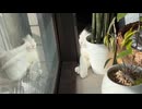 去年の昼下がり