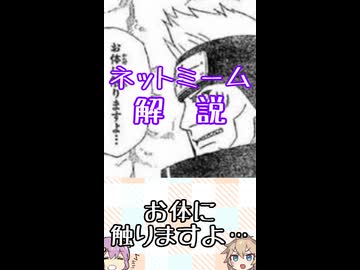 ゆかつむネットミーム解説【お体に触りますよ…】