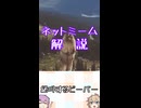 ゆかつむネットミーム解説【絶叫するビーバー】