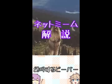 ゆかつむネットミーム解説【絶叫するビーバー】