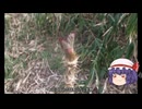 ゆっくり農民286タラを育ててみませんか？#6