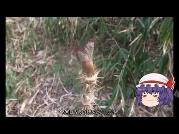ゆっくり農民286タラを育ててみませんか？#6