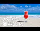 【コモンズ申請中】常夏、トロピカル、日差し_夏の陽気(無料BGM)