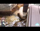 『ミカニャトラベル with アマタ（ノ）（ス）ライムの ドラゴンクエストウォーク 実況』Walk.1