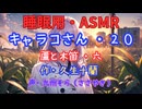 【睡眠用】  九州そら（ささやき）  ” キャラコさん・２０（  蘆と木笛・六  ） ” （ 作・久生十蘭 ）  【ASMR】
