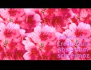 シュライモズ　‐　アブサーダム【Vo：sheena】