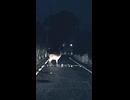 鹿害。