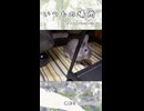 【うさぎ 5歳】いつもの場所
