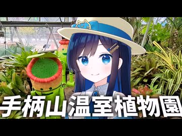 手柄山温室植物園に行きました。