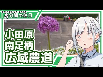 【4分間の休日】なんでもない道～広域農道小田原南足柄線【ゆっくりボイスピ車載】
