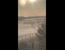 お馬さん見えるかな