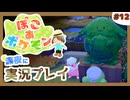 【ぽこ あ ポケモン】メタモン達とのんびり街づくり#12 (なんの縛りもなく初見プレイ）