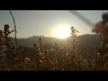 日唄　 初音ミク
