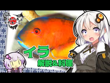 日本の魚全部食べる イラ