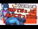 初夢を利用してジュノに会いに行ってみた【正月企画】【半実写】