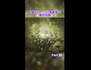 おりじん甘寧しっぽり耐久 #30