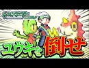 【実況】最初に出会ったポケモンで旅をするポケモンエメラルド#6